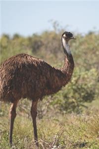 Emu