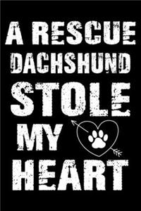 A Rescue Dachshund Stole My Heart