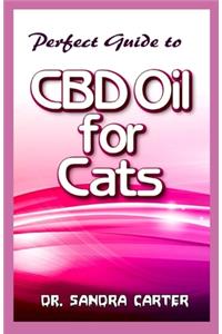 Perfect Guide to CBD Oil for Cats
