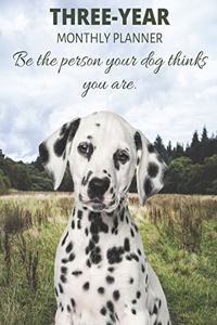 Three Year Monthly Planner Starting 2020 Agenda with Weekly Plan Space - Best Gift For Dog Owner - Funny Dalmatian Appointment Book for 2021 & 2022