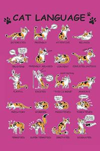 Cat language