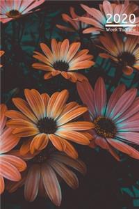 A5 2020 Diary Week To View Paperback Cover With Alternative Design -