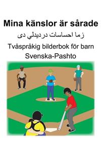 Svenska-Pashto Mina känslor är sårade Tvåspråkig bilderbok för barn