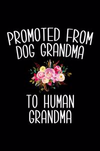 Promoted from Dog Grandma to Human Grandma