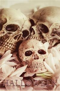 Halloween, Skull Notebook, Memory Book to Write or Draw , 6x9, 100 Beautiful Pages, Notes, Journal, Memory Book