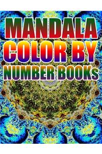 Mandala Color by Number Books