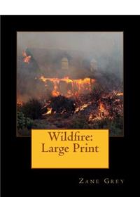 Wildfire