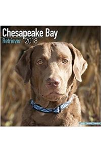 Chesapeake Bay Retriever Calendar 2018