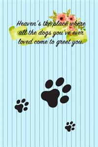 Heaven's the Place Where All the Dogs You've Ever Loved Come to Greet You