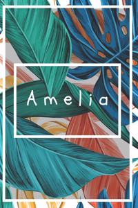 Amelia's Notebook