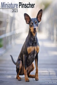 Miniature Pinscher  2023 Wall Calendar