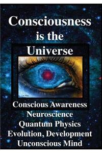 Consciousness is the Universe