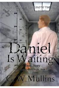 Daniel Is Waiting A Ghost Story