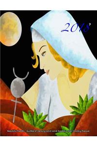 2018- Beautiful Planets - Surface of Mercury 2017-2018 Academic Year