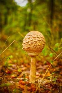 Golden Mushroom in an Autumn Forest Journal