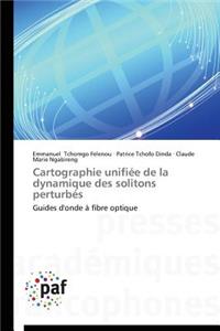 Cartographie Unifiée de la Dynamique Des Solitons Perturbés