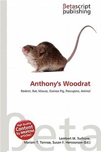 Anthony's Woodrat