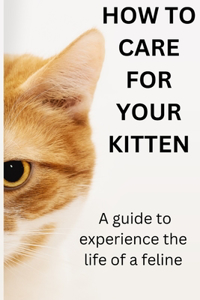 How to Care for Your Kitten