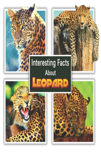 Interesting Facts About Leopard