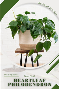 Heartleaf Philodendron