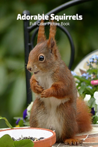 Adorable Squirrels Full-Color Picture Book