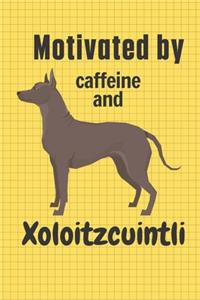 Motivated by caffeine and Xoloitzcuintli