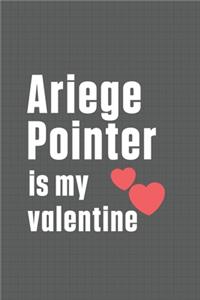 Ariege Pointer is my valentine
