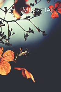 Minutiae