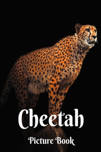 Cheetah Picture Book