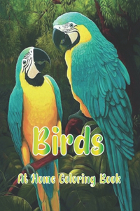 Birds At Home Coloring Book