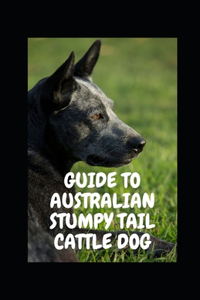 Guide to Australian Stumpy Tail Cattle Dog
