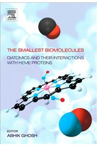 The Smallest Biomolecules