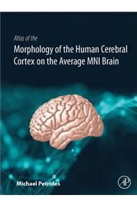 Atlas of the Morphology of the Human Cerebral Cortex on the Average Mni Brain