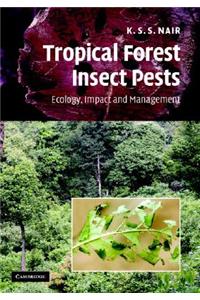Tropical Forest Insect Pests