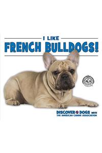 I Like French Bulldogs!