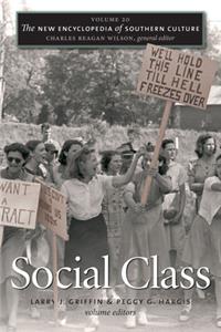 New Encyclopedia of Southern Culture: Volume 20: Social Class