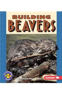 Building Beavers