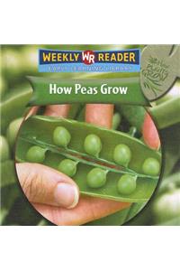 How Peas Grow