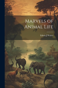 Marvels of Animal Life