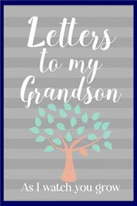 Letters to my Grandson As I watch you grow