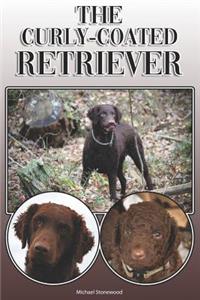 Curly-Coated Retriever
