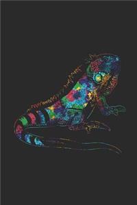 Iguana Colors