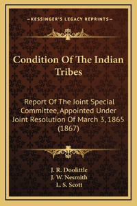 Condition Of The Indian Tribes