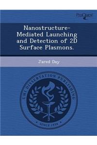 Nanostructure-Mediated Launching and Detection of 2D Surface Plasmons