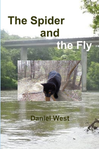 The Spider and the Fly