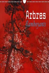 Arbres Flamboyants 2018