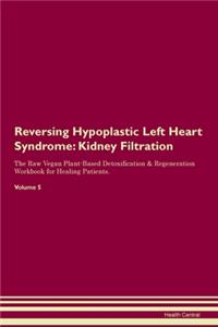Reversing Hypoplastic Left Heart Syndrome: Kidney Filtration The Raw Vegan Plant-Based Detoxification & Regeneration Workbook for Healing Patients. Volume 5