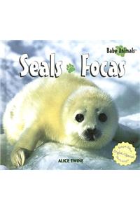 Seals / Focas