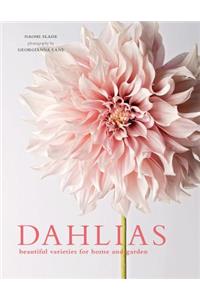 Dahlias