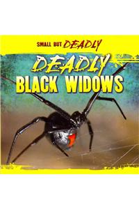 Deadly Black Widows